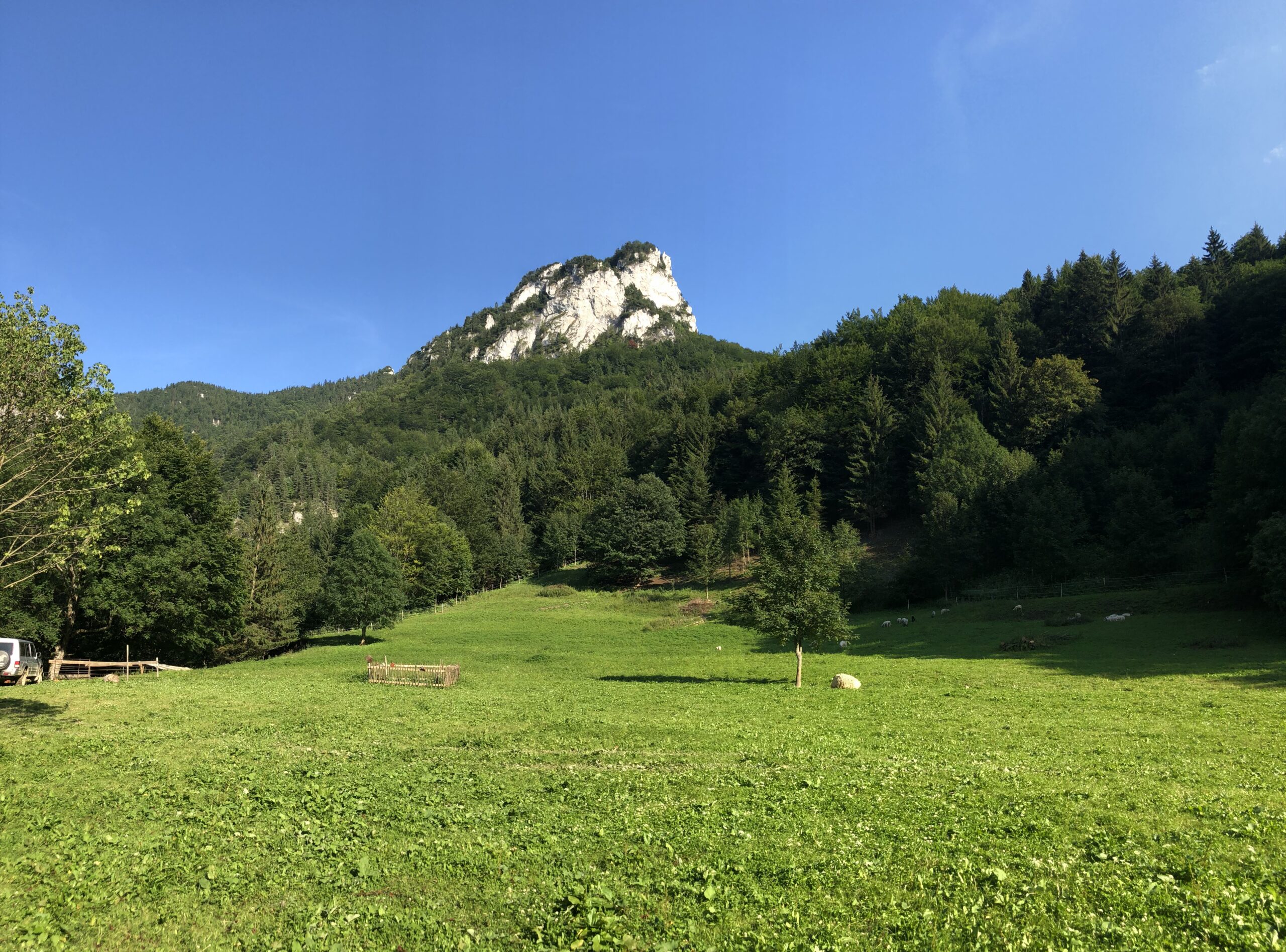 A rocky mountain peak rises above a lush green meadow and forest