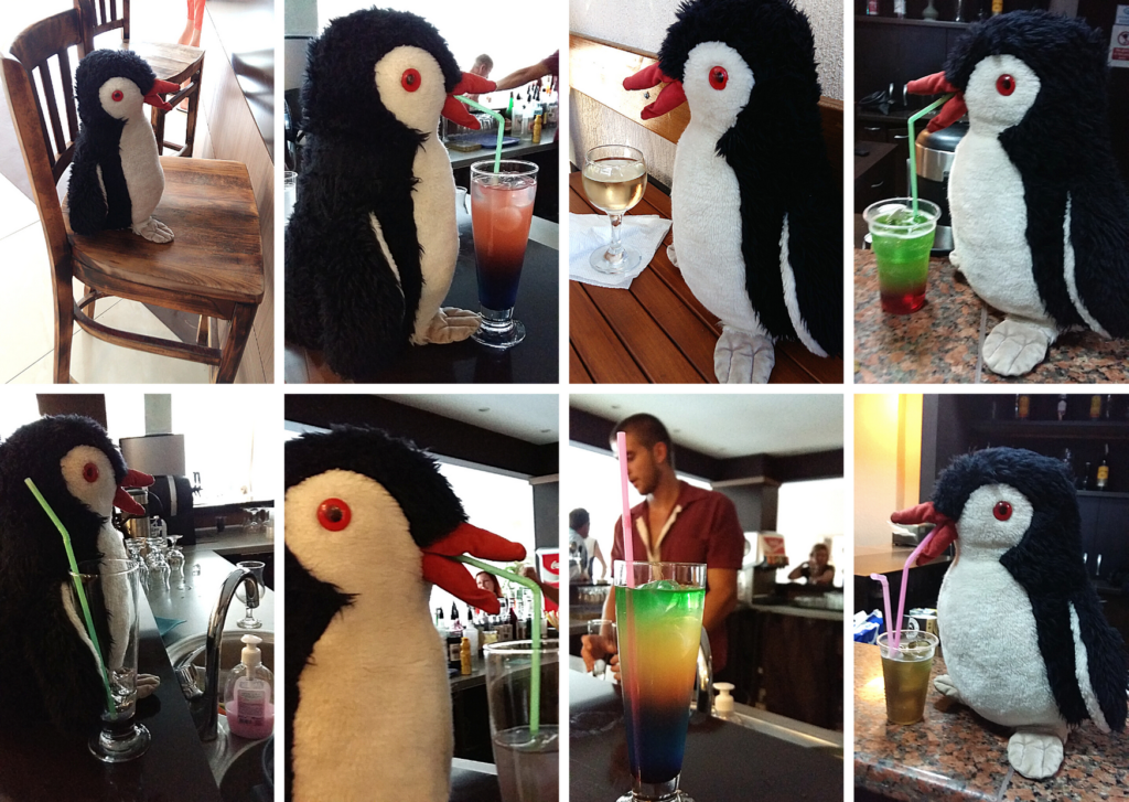 A collage of eight photos showing plush penguin Miško enjoying drinks in Sunny Beach
