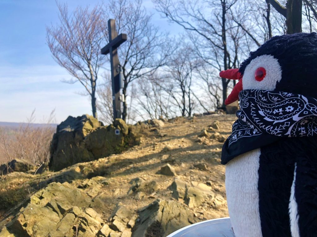 A plush penguin wearing a bandana looks toward a wooden cross on a hill