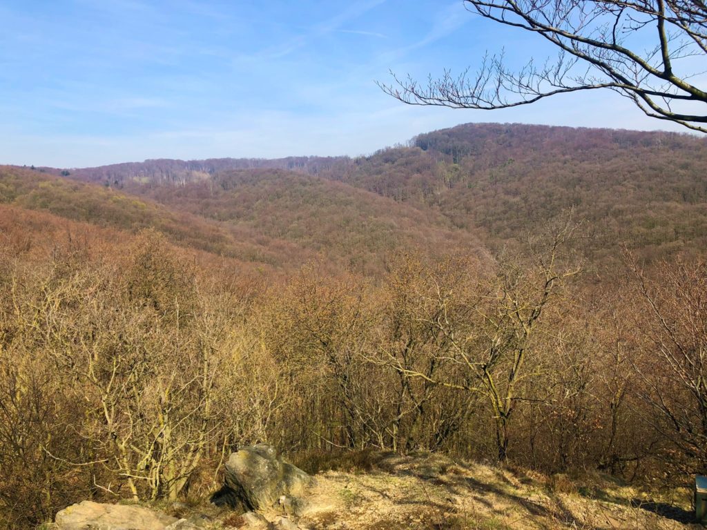Rolling hills covered in bare forest along the Rača to Záhorská Bystrica hike