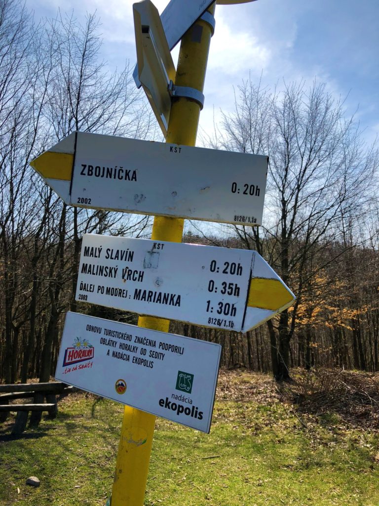 Yellow hiking signpost with directional arrows in a forest setting