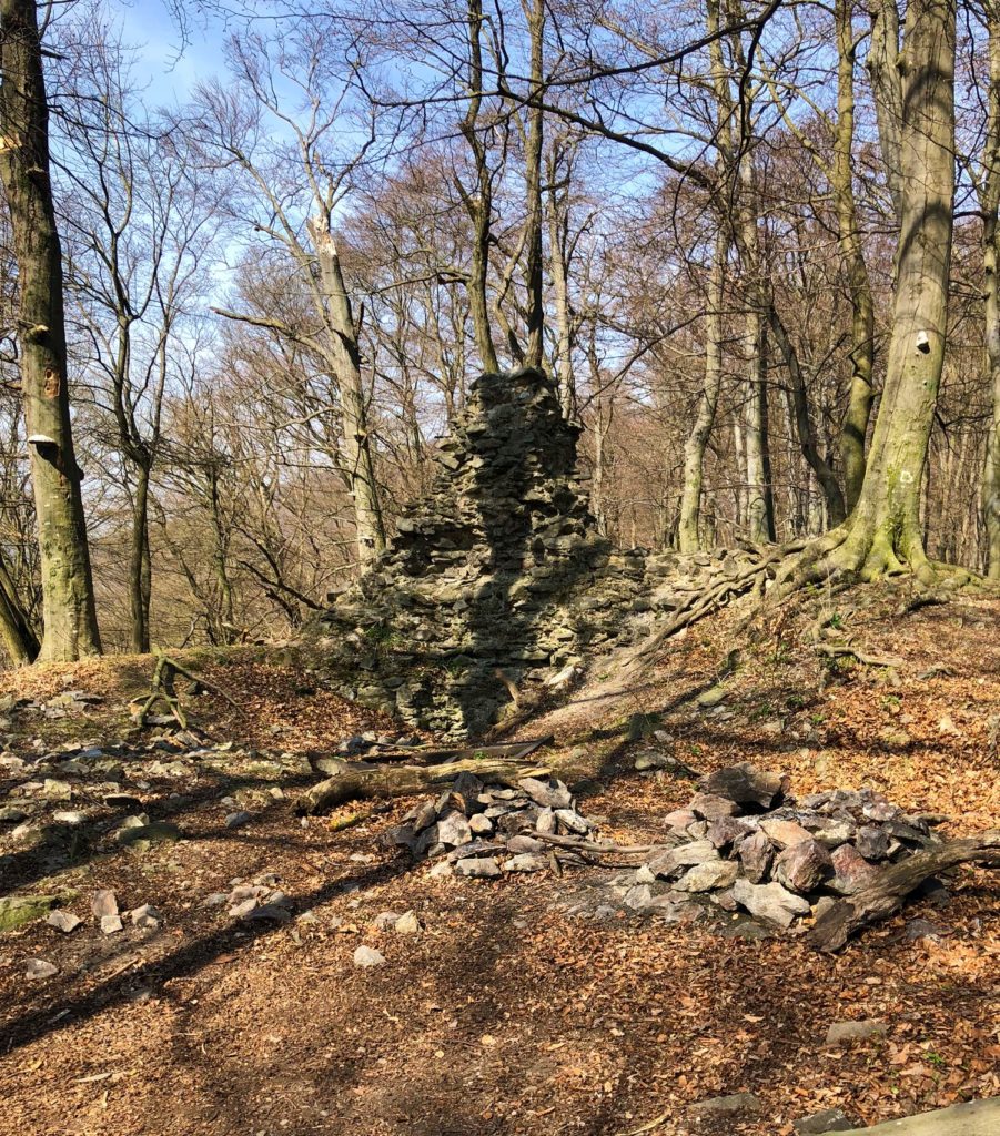 Stone ruins stand among bare trees on a forest floor covered in leaves