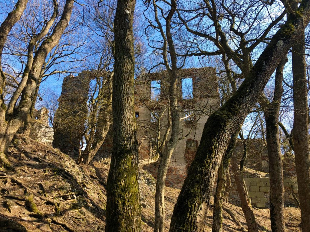 Stone ruins of a building stand behind bare trees in a forest