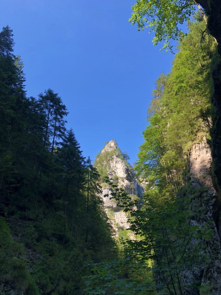 Tall rocky cliffs rise between lush green trees under a clear blue sky