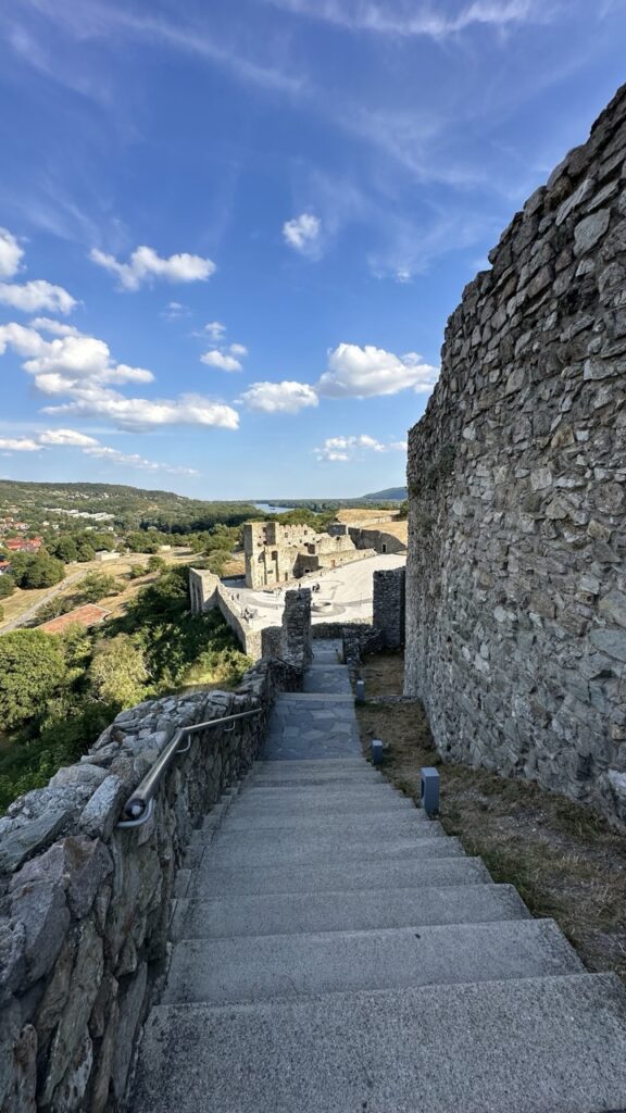 Castle devin new