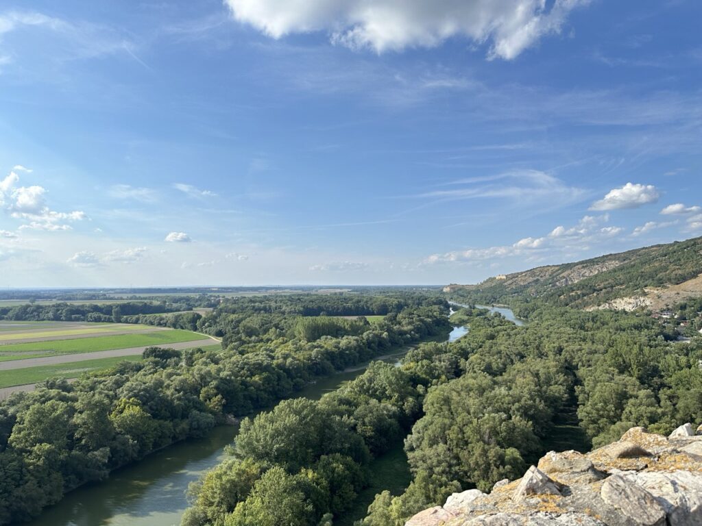 Castle devin new