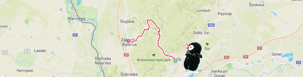 Map of the Rača to Záhorská Bystrica hike with the plush penguin mascot Miško