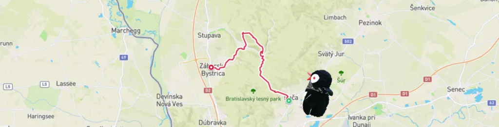 Map of the Rača to Záhorská Bystrica hike with the plush penguin mascot Miško