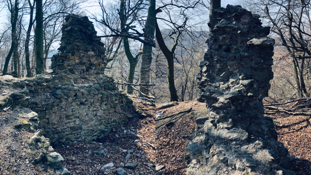 Ancient stone ruins stand amidst a forest on the Rača to Záhorská Bystrica hike
