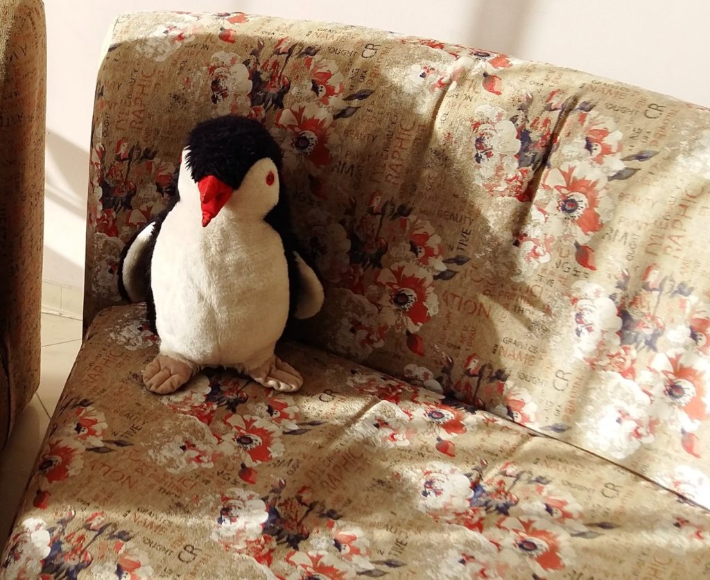 A plush penguin toy sits on a floral patterned sofa
