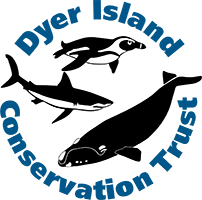 Dyer Island Conservation Trust