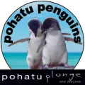 Logo featuring two penguins promoting Pohatu Penguins and Pohatu Plunge