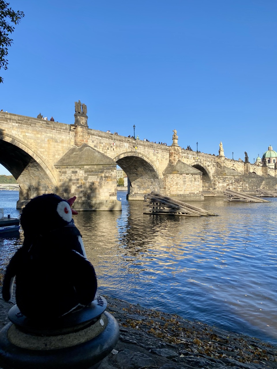 Yellow Penguins Prague