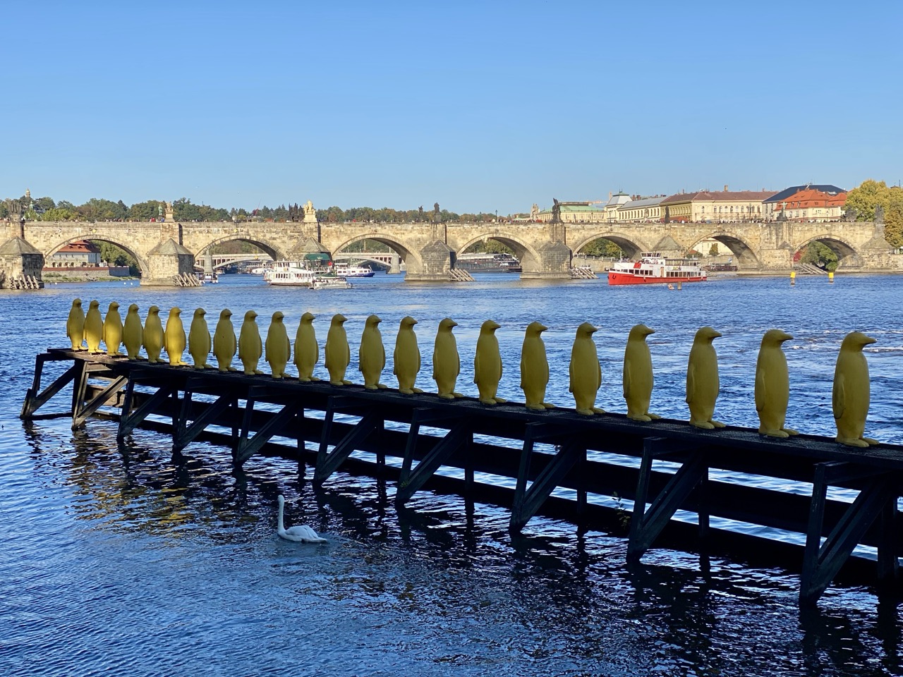 Yellow Penguins Prague