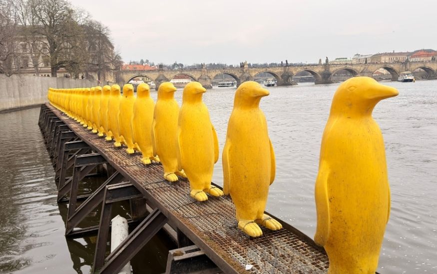 Kampa Park Penguins: A Must-See Art Installation in Prague