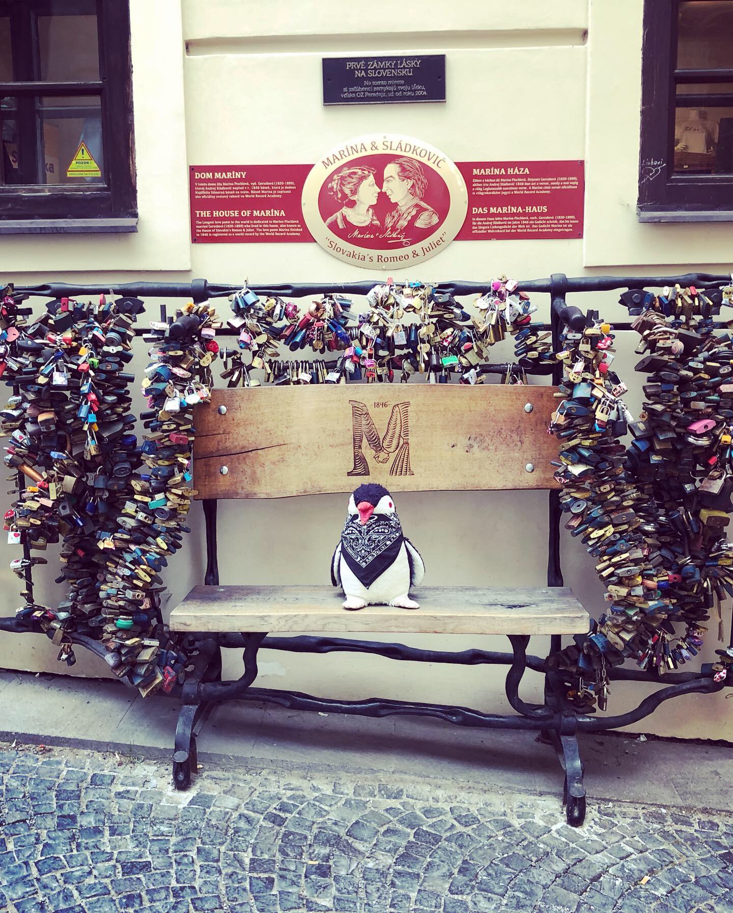 A plush penguin sits on a bench covered in padlocks in Banská Štiavnica