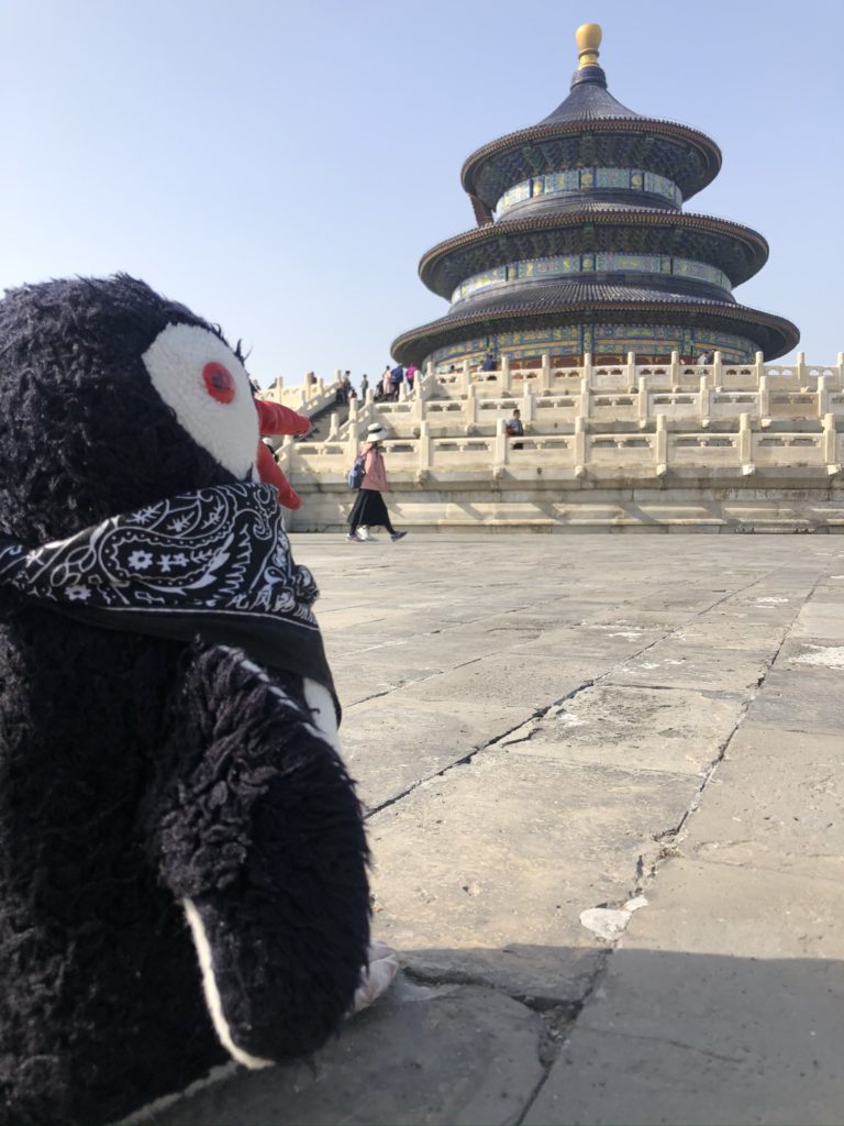 A plush penguin toy looks toward the Temple of Heaven in Beijing