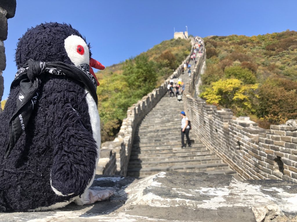 Plush penguin sits on the Great Wall of Beijing overlooking a steep staircase