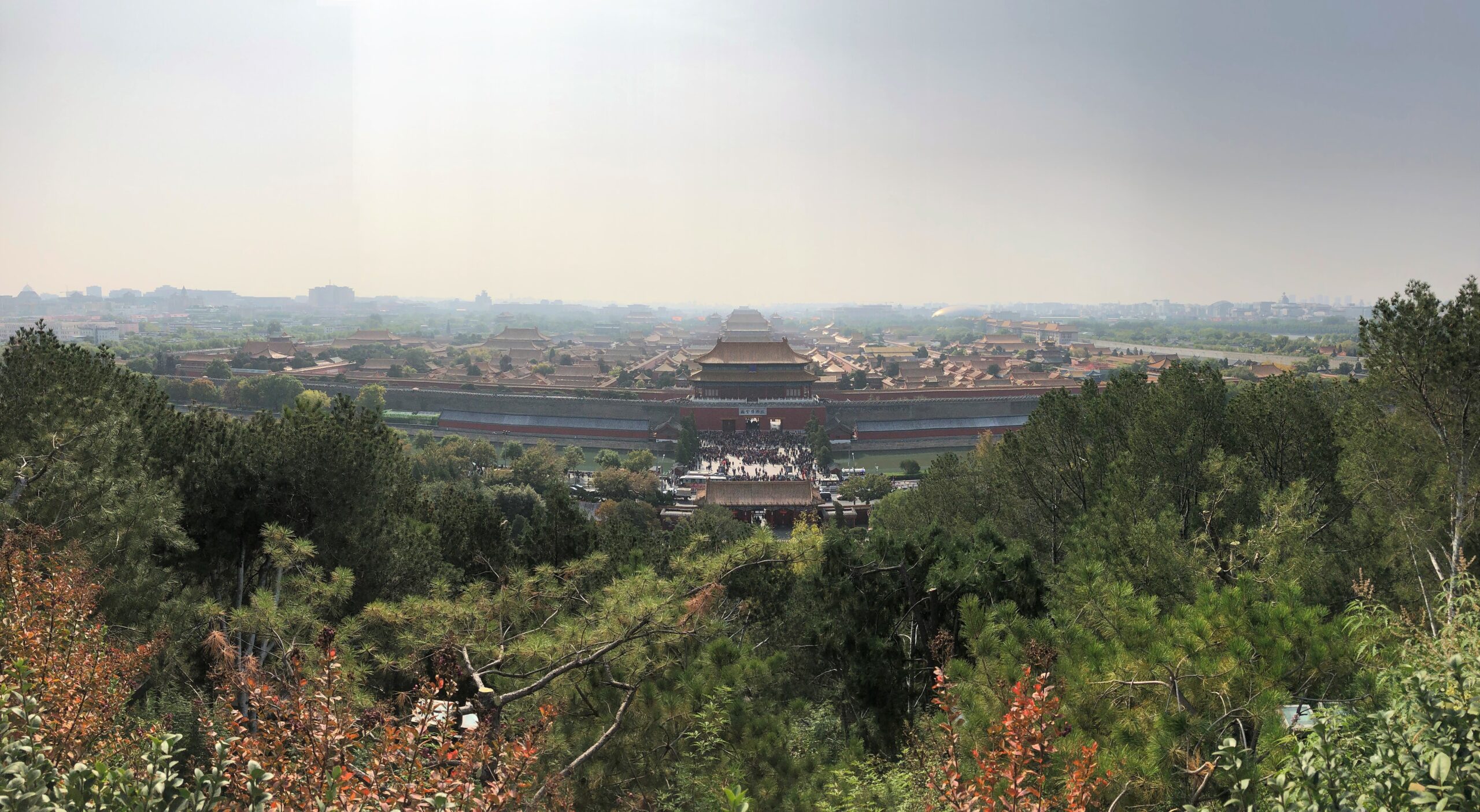 Panoramic view of the Forbidden City in Beijing surrounded by lush trees