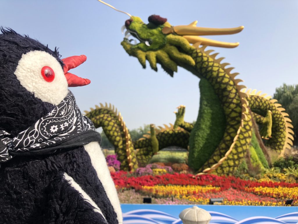 A plush penguin looks toward a large topiary dragon in a Beijing park