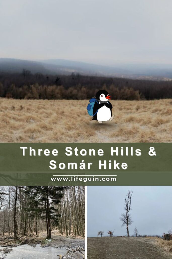 Three Stone Hills & Somár Hike – follow Lifeguin on Pinterest