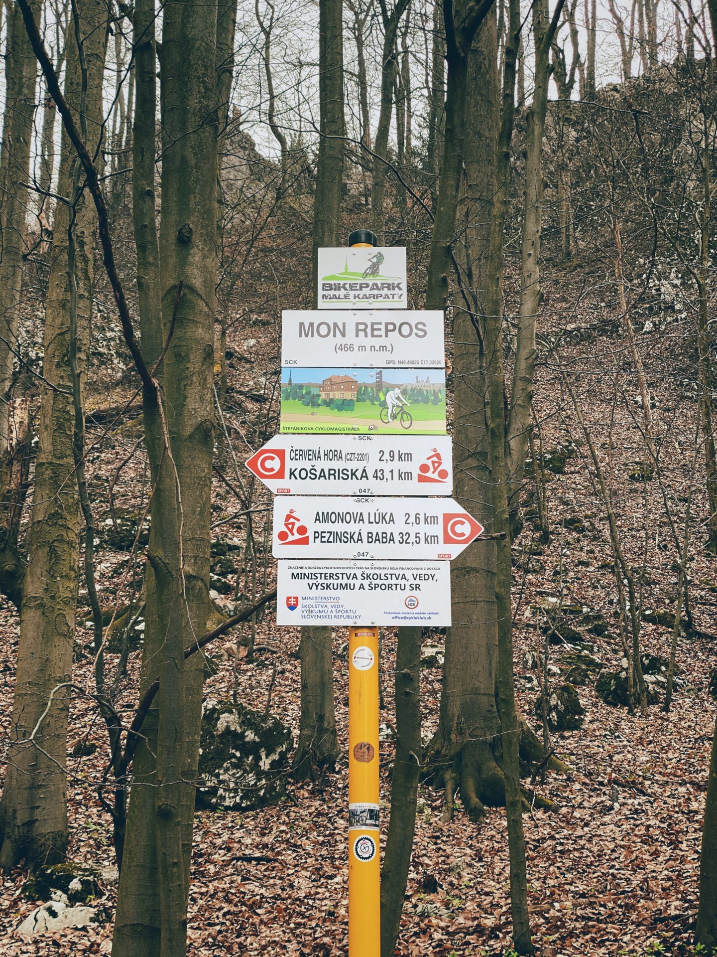 Directional signs for hikers and cyclists stand in a wooded forest area