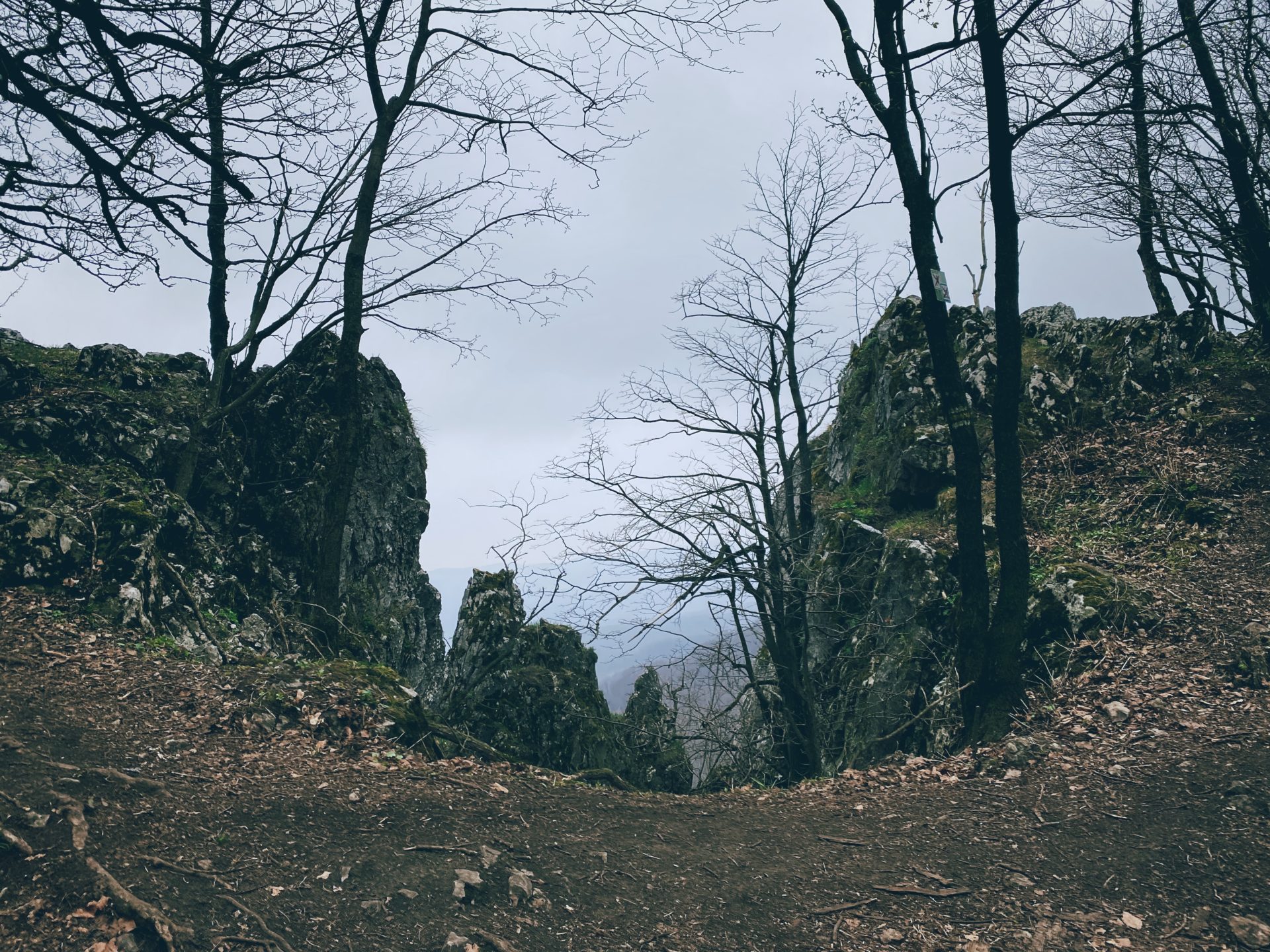 Bare trees frame a rocky overlook on a hiking trail in Plavecký Mikuláš