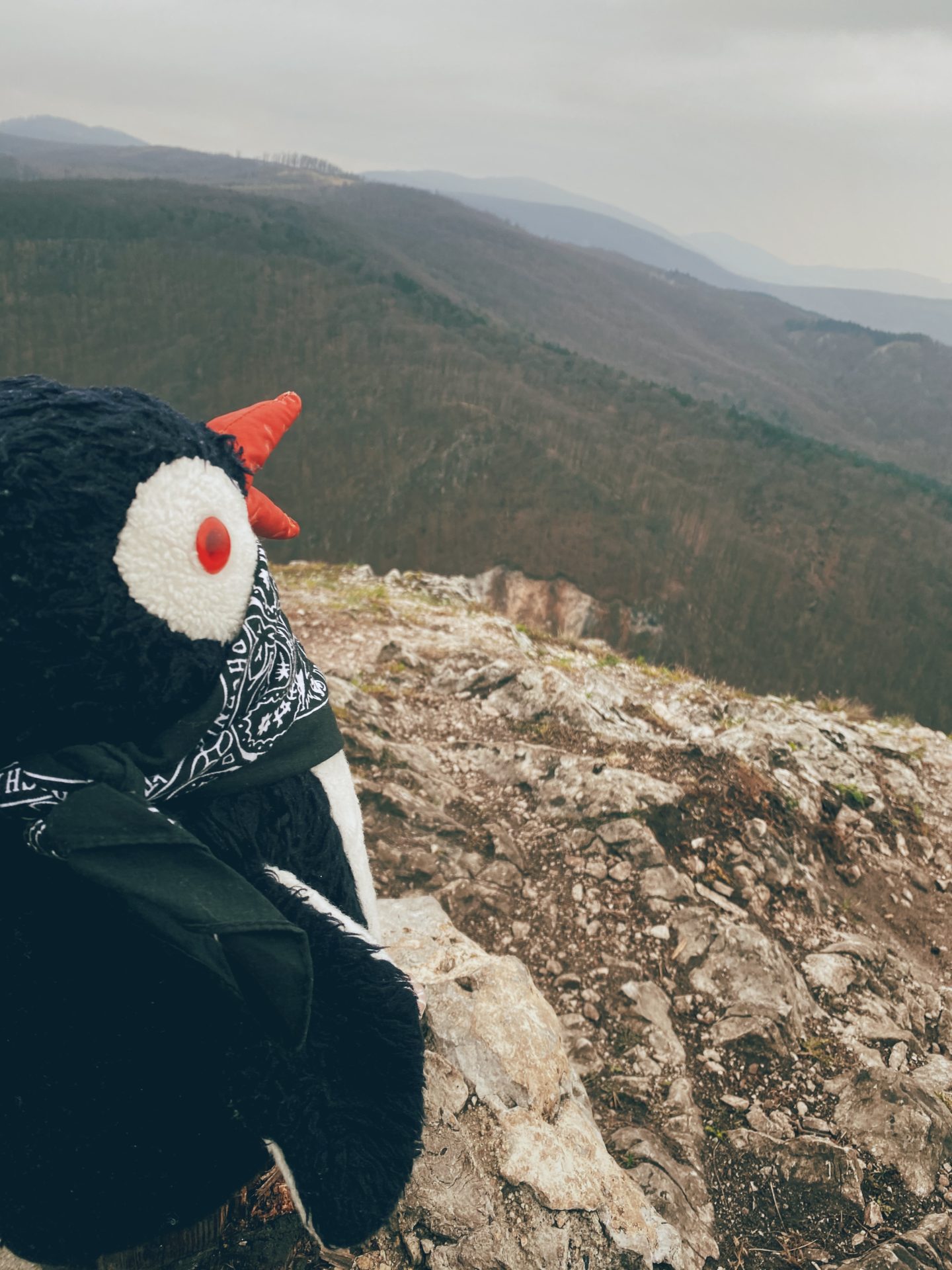 Plush toy wearing a bandana looks out over the Plavecký Mikuláš mountain landscape