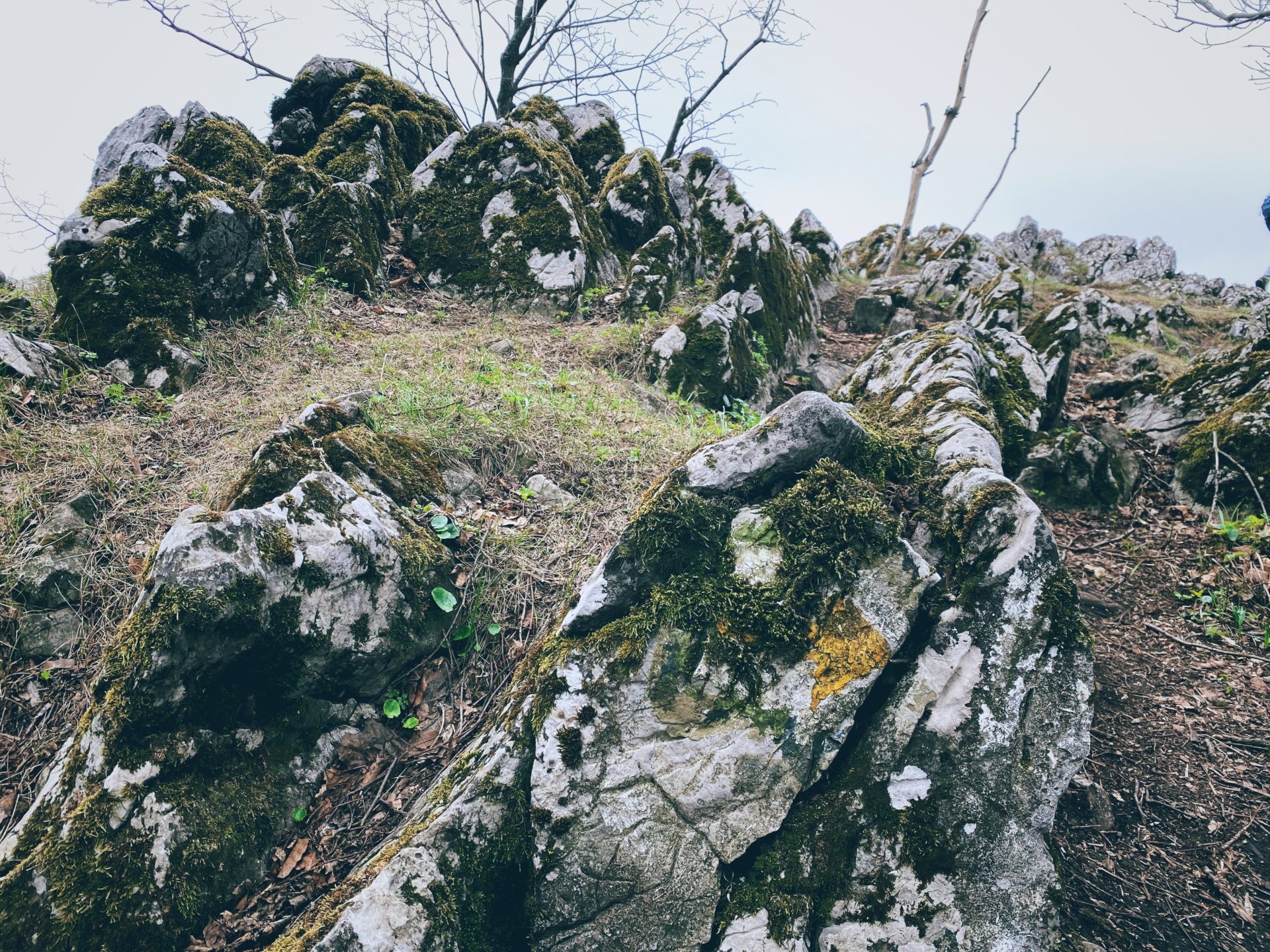 Mossy rocks and sparse vegetation along a trail in Plavecký Mikuláš