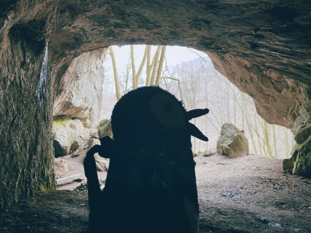 Silhouette of a plush toy standing inside a rocky cave entrance