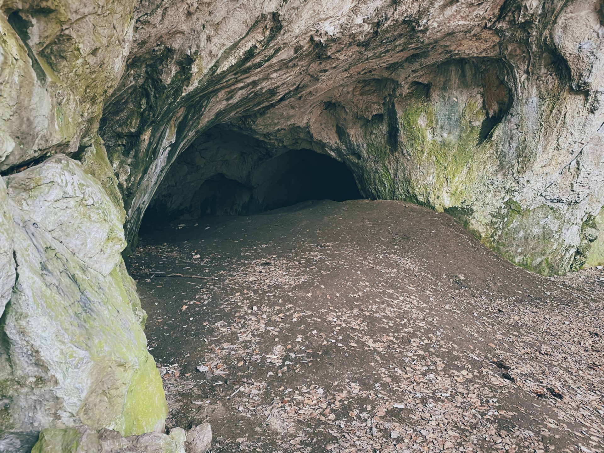 Large rocky cave entrance with a dirt floor covered in fallen leaves