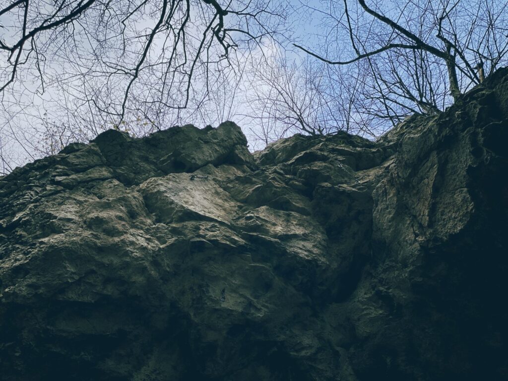 Bare tree branches reach over a jagged rock face against a blue sky