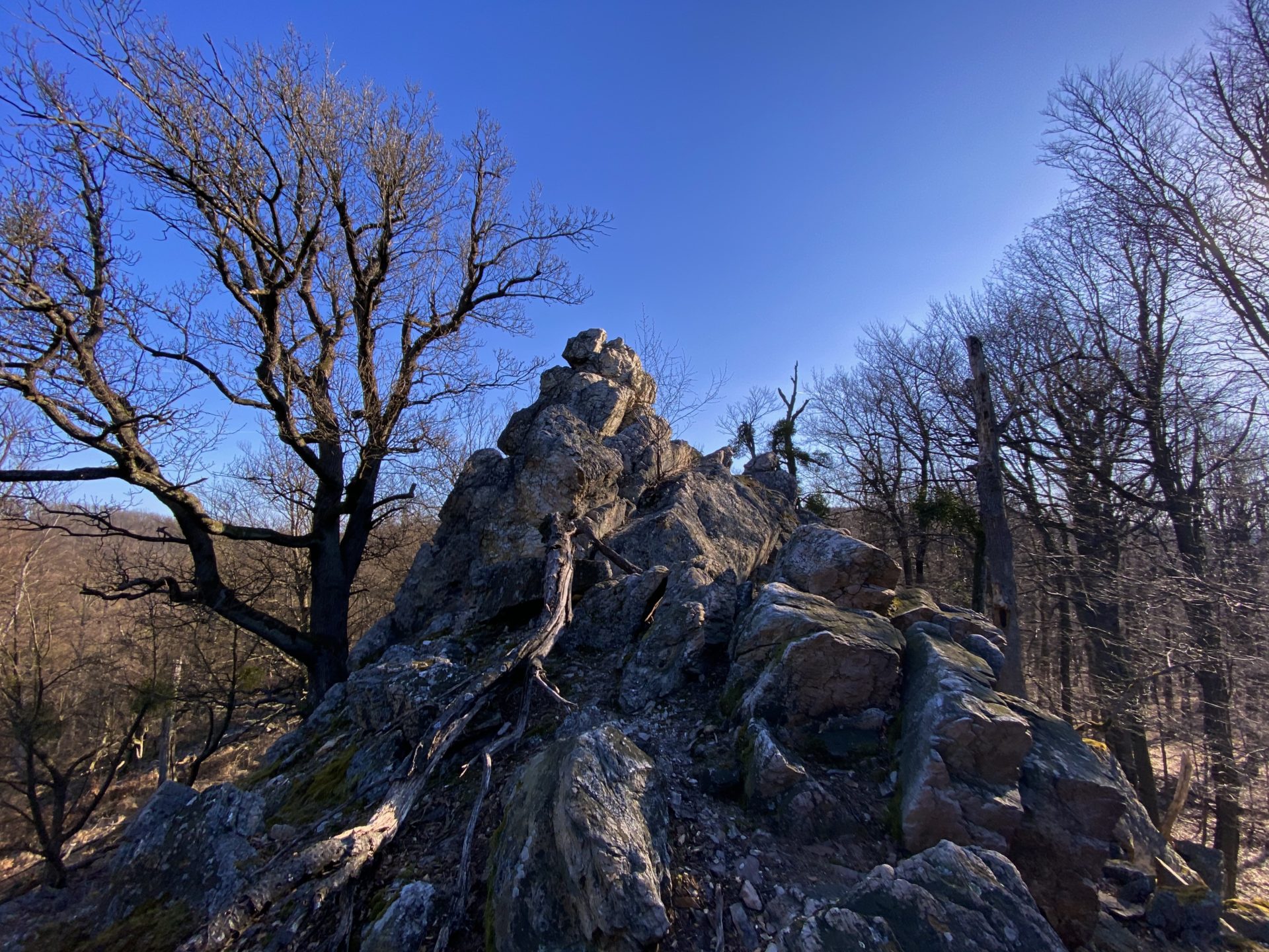 Jagged rock formation surrounded by bare trees in the Little Carpathians