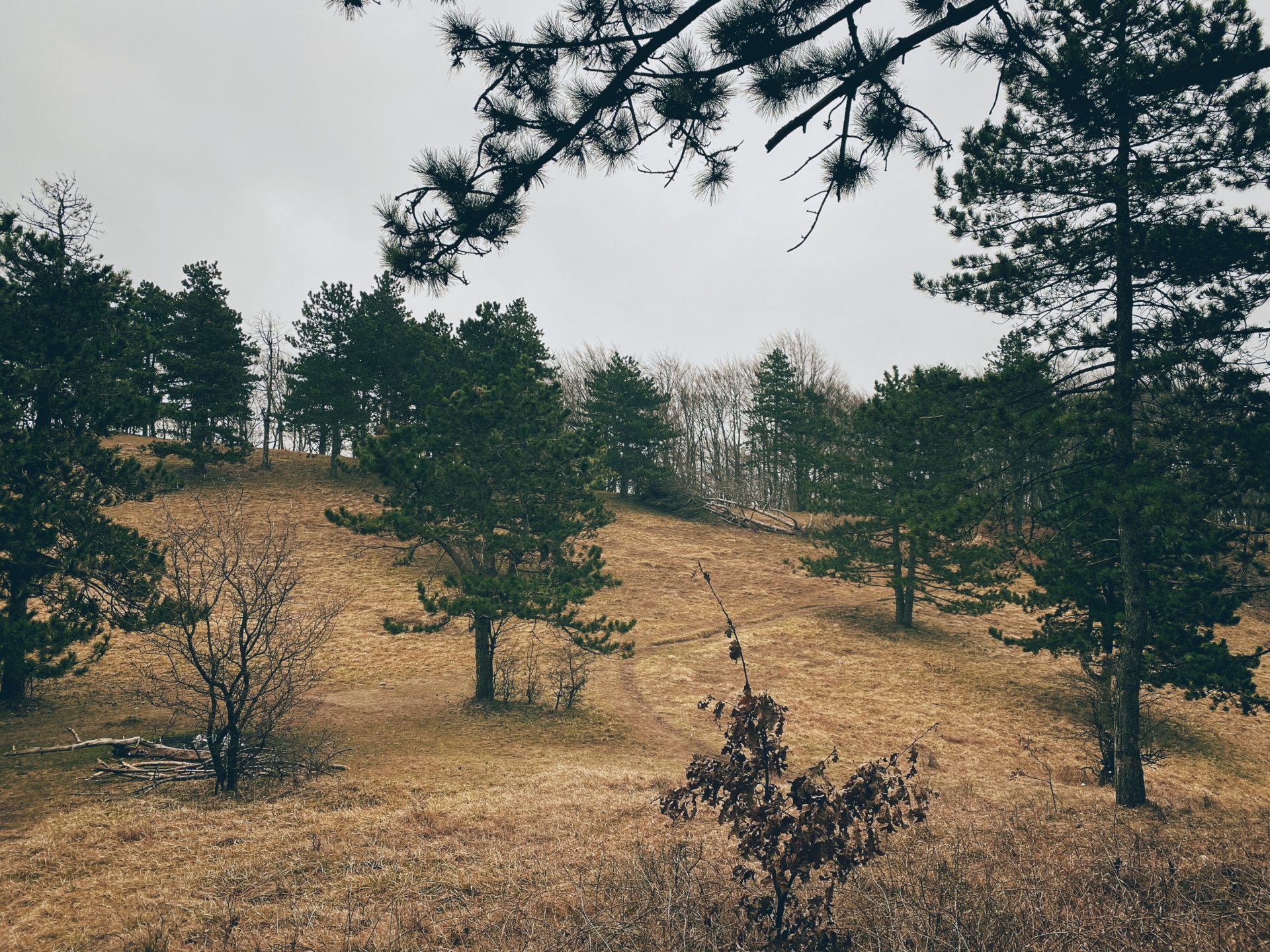 A narrow dirt path winds through a grassy hill near Plavecký Mikuláš