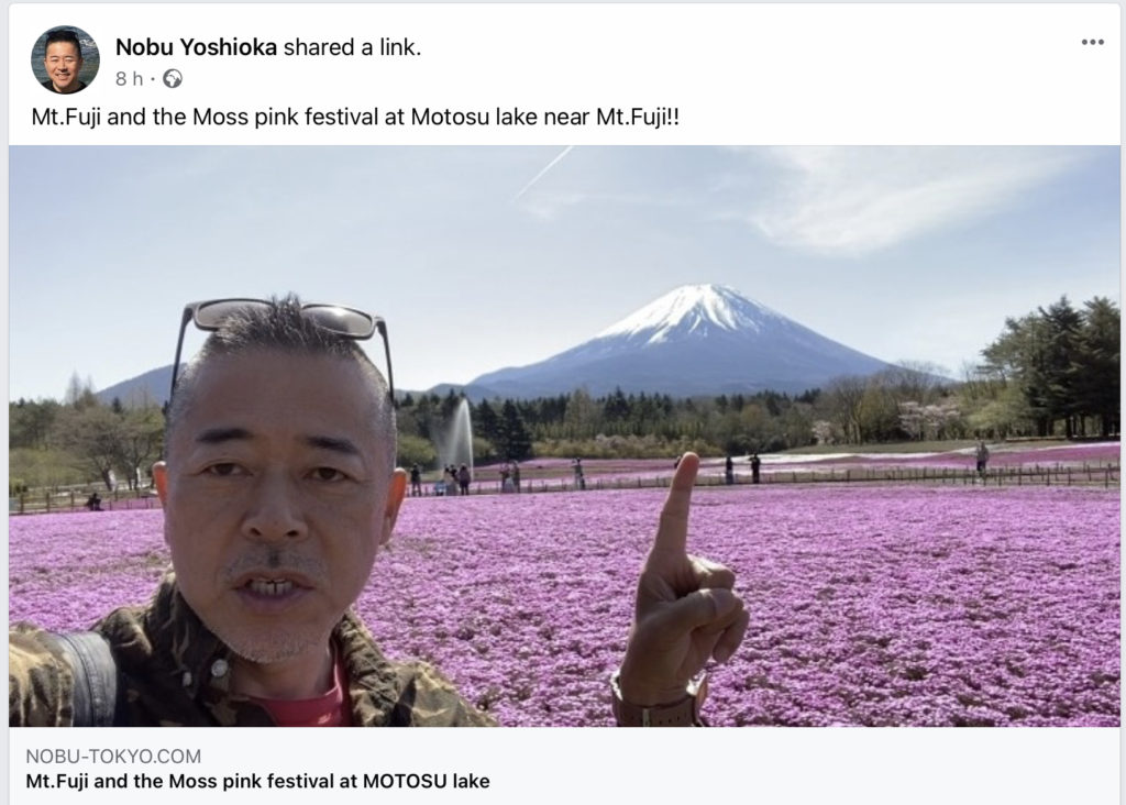 Man pointing at Mt. Fuji behind a field of pink flowers in Japan
