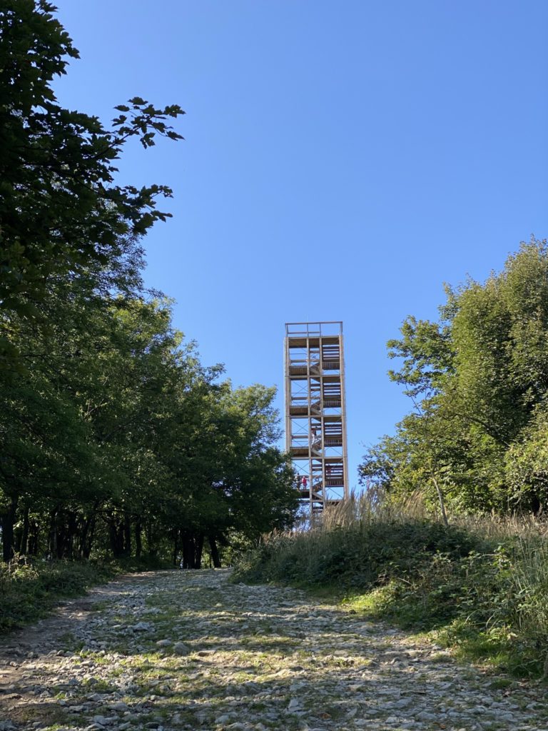 Great Homola Lookout Tower stands tall at the end of a forest path