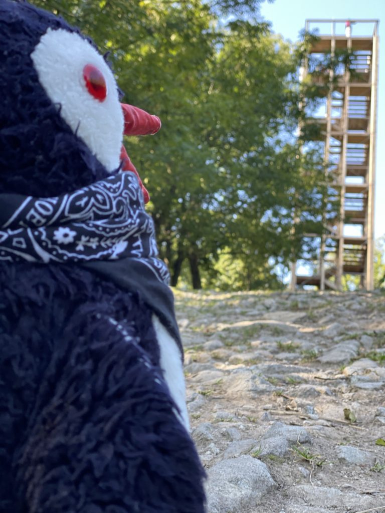 Plush penguin wearing a bandana looks toward the Great Homola Lookout Tower