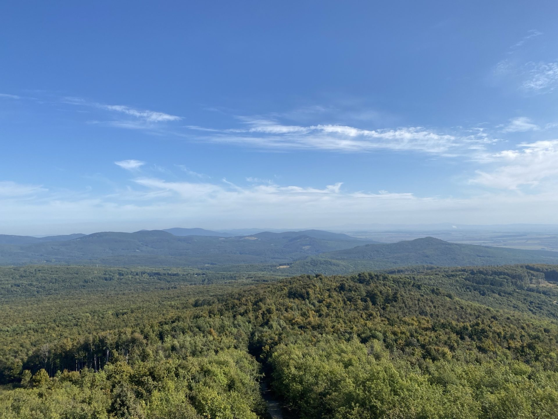 View of rolling forested hills from the Great Homola Lookout Tower