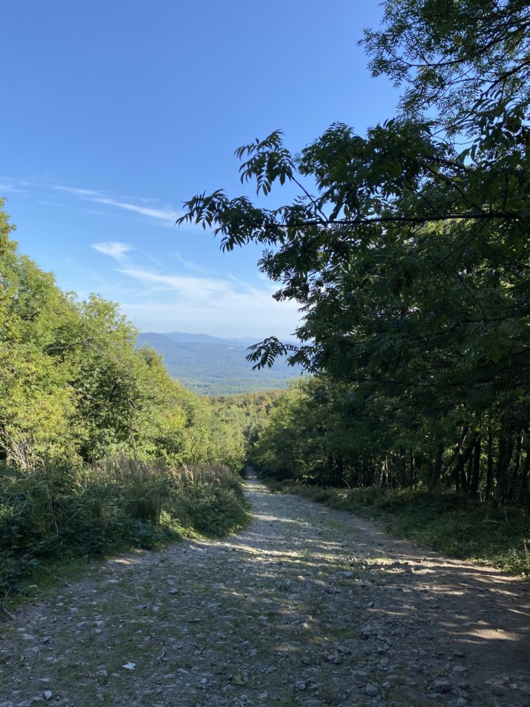 A rocky path leads through a forest toward distant mountain ridges