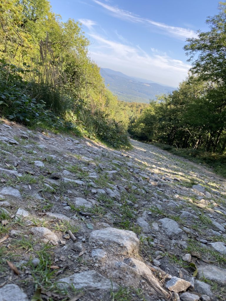 Rocky path leading down through a forest toward distant mountain ridges