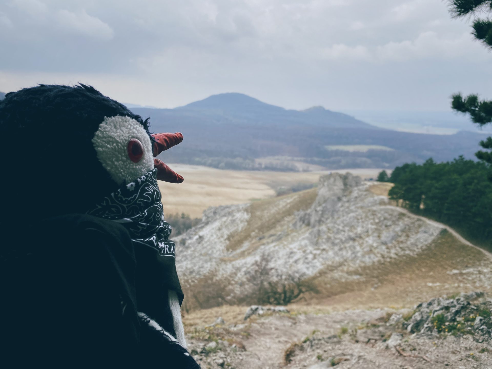 Plush penguin wearing a bandana overlooks the scenic Plavecký Mikuláš landscape