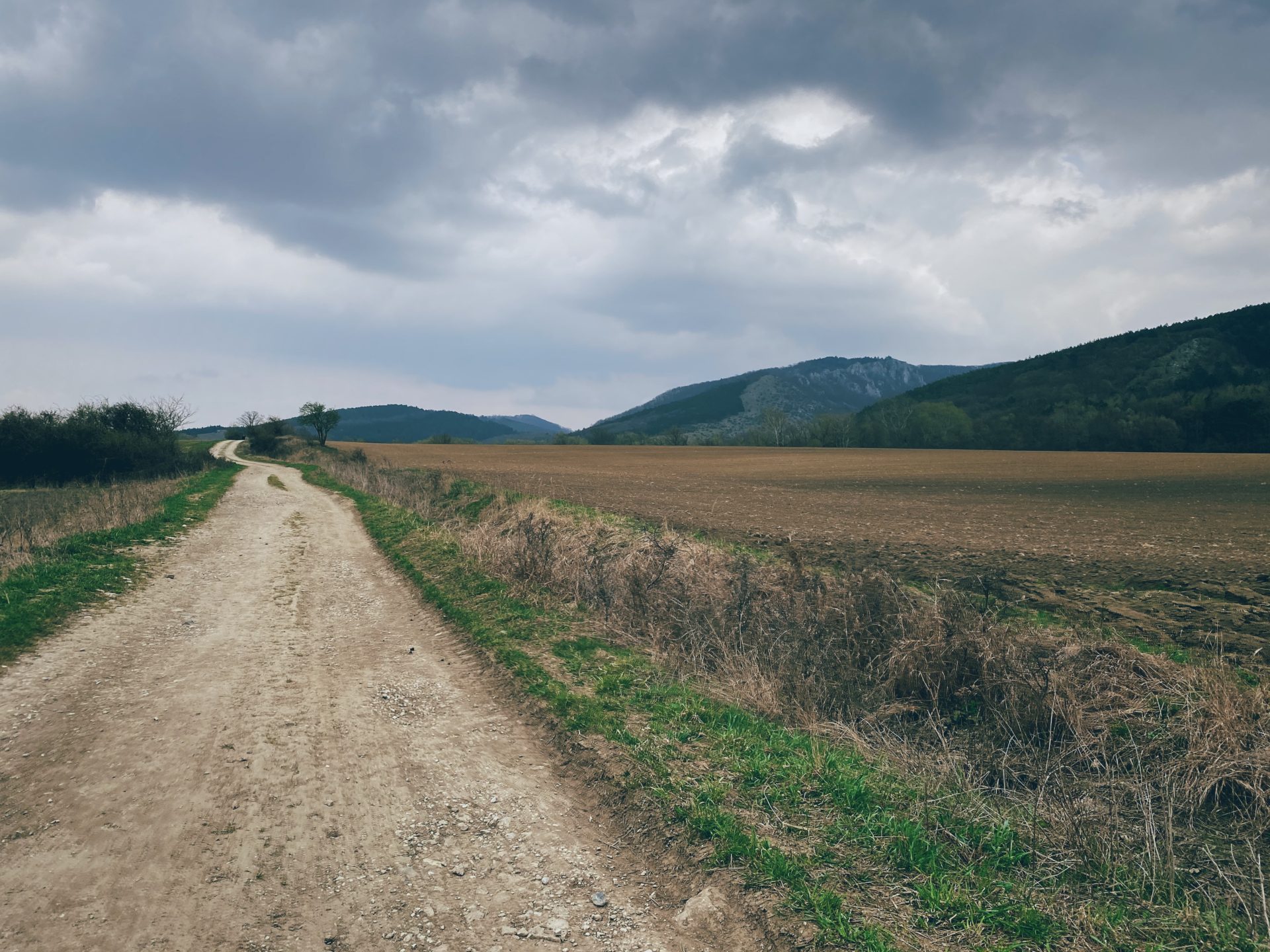 Dirt path winding through fields toward distant hills under a cloudy sky