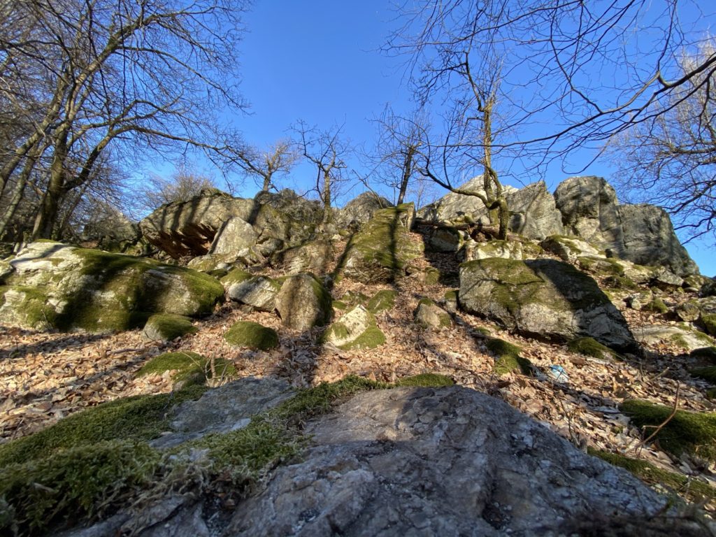 Mossy rocks and bare trees under a clear blue sky in the Little Carpathians