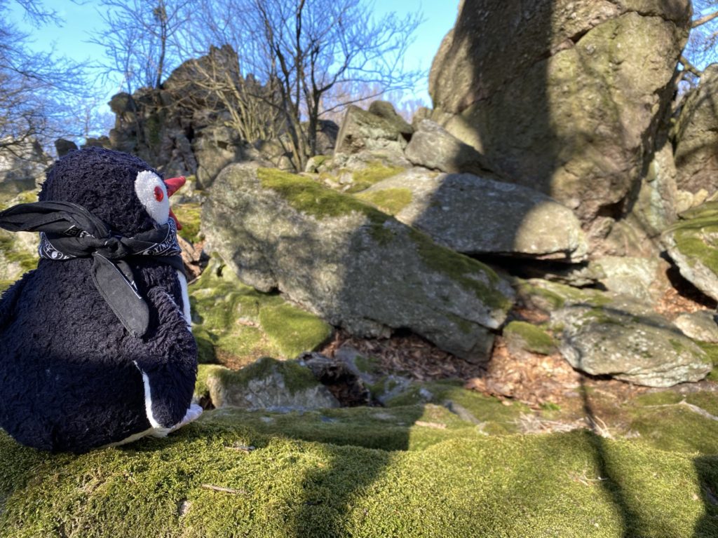 Plush penguin wearing a bandana sits on a mossy rock in the Little Carpathians