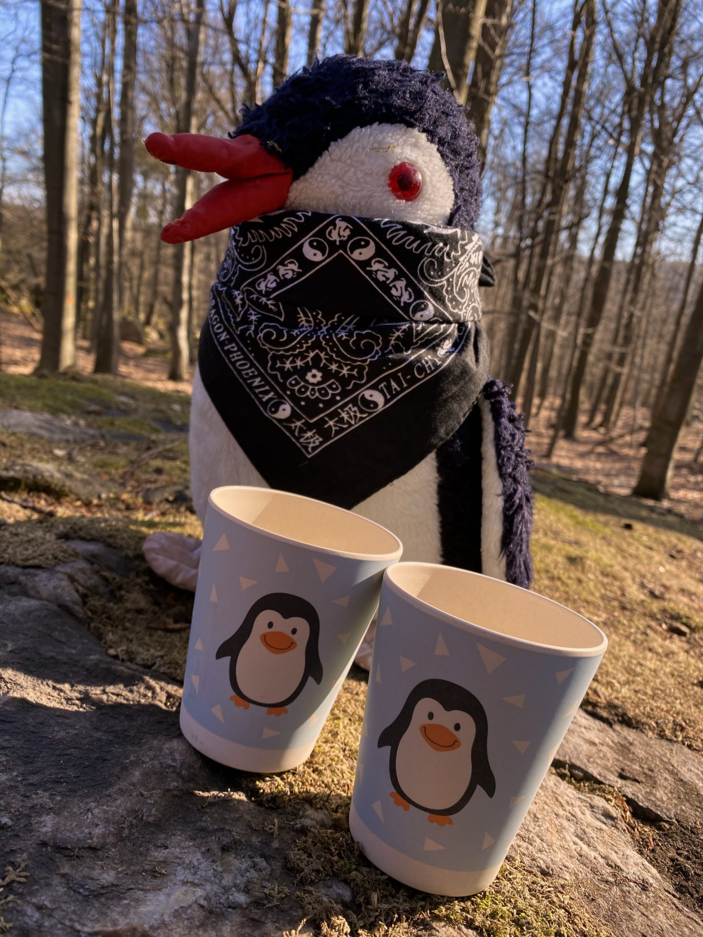A plush penguin wearing a bandana sits behind two penguin-themed cups in the forest