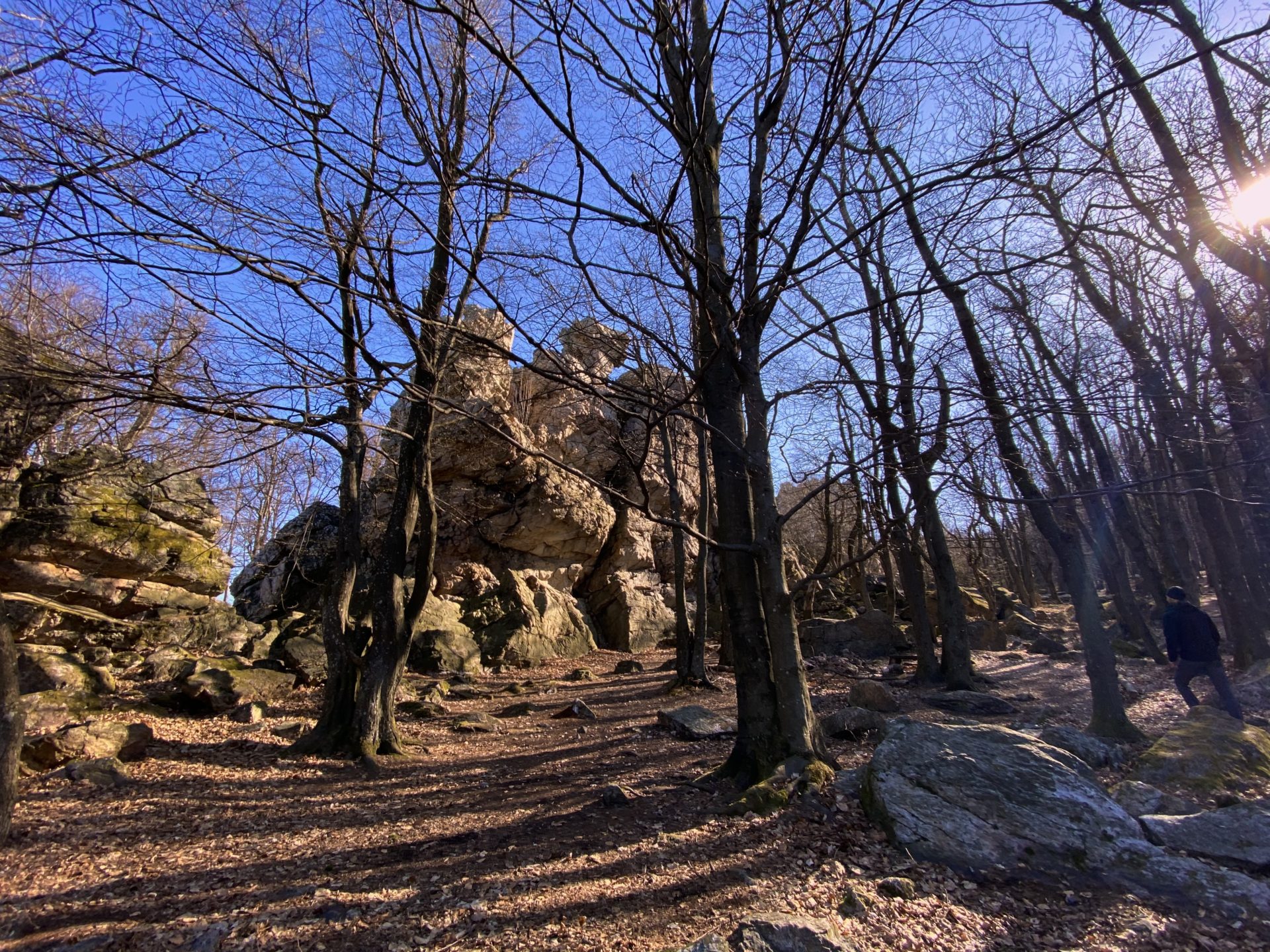 Bare trees stand before large rock formations in the Little Carpathians