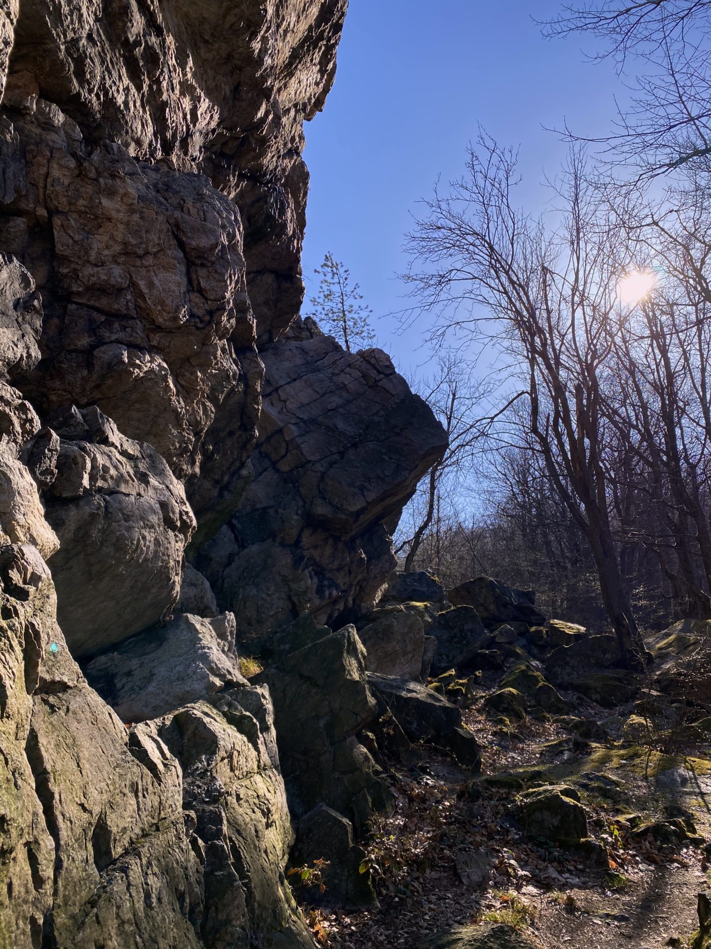 Sunlight shines through bare trees beside a rocky cliff in the Little Carpathians