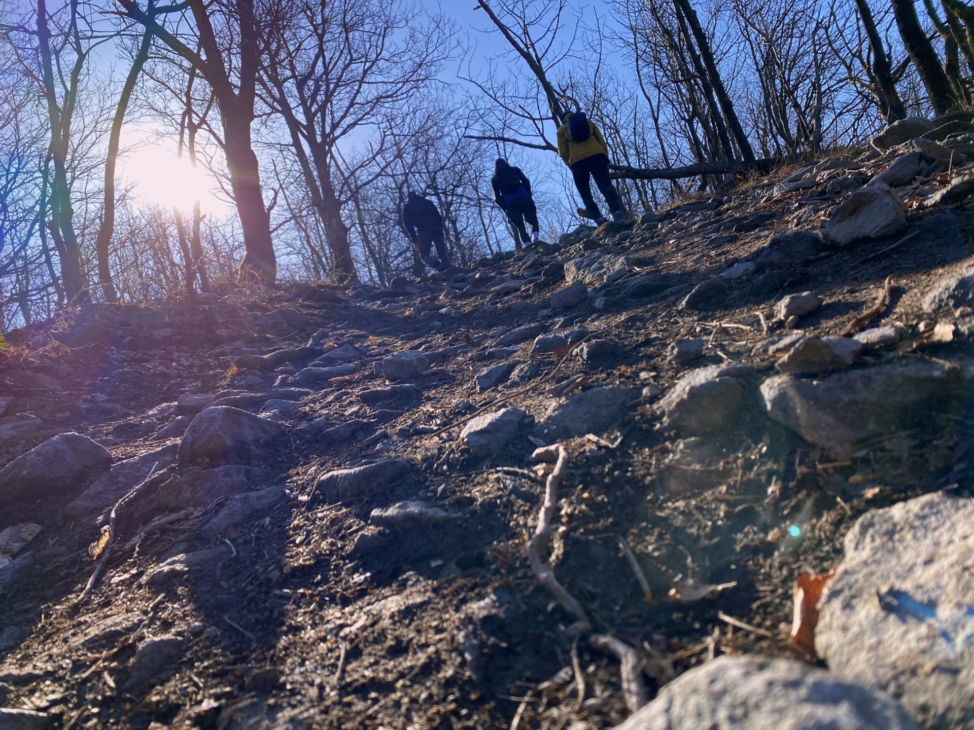 Three hikers ascend a rocky trail in the sunny Little Carpathians