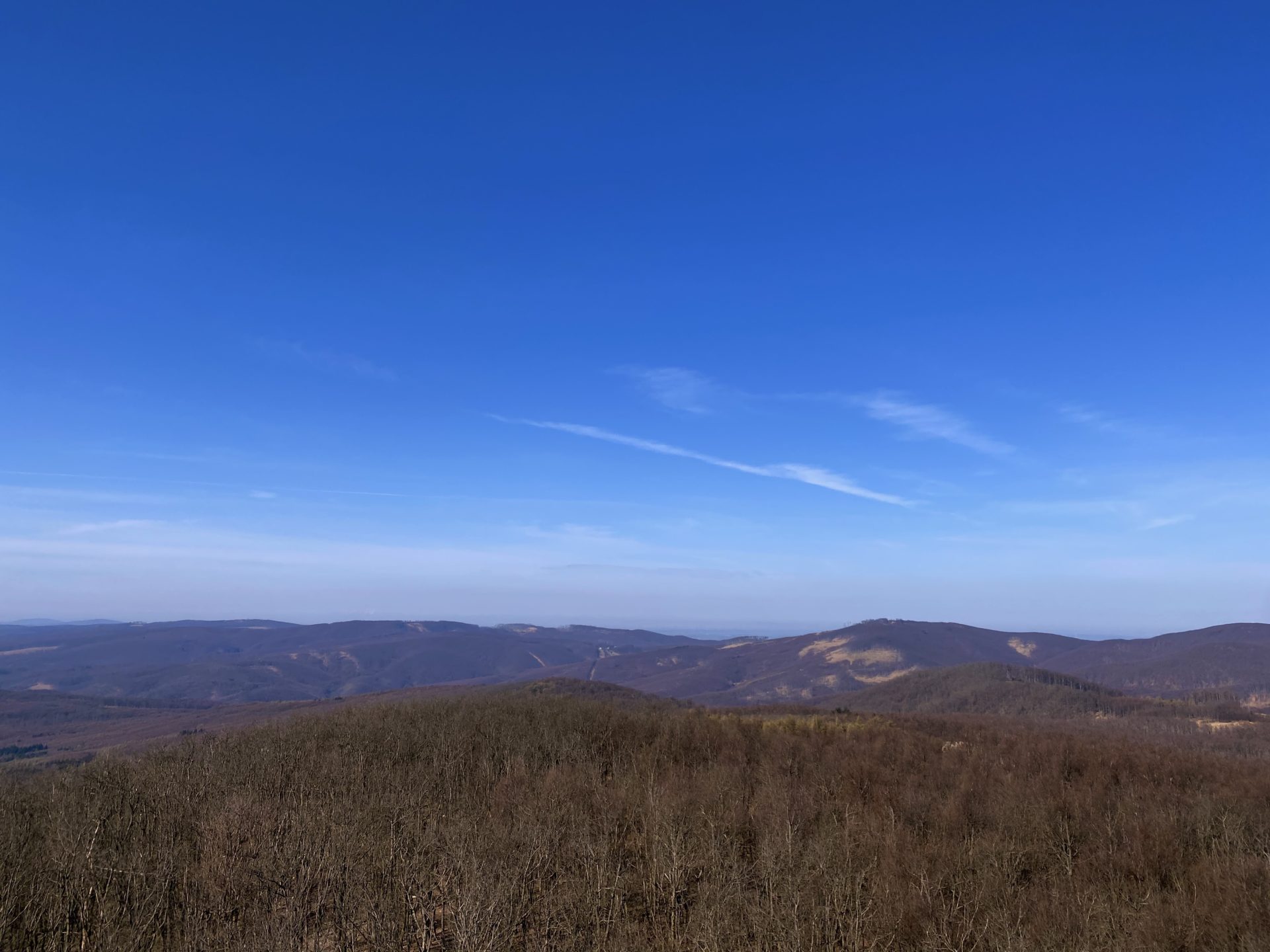 Rolling hills covered in bare trees under a clear blue sky in the Little Carpathians