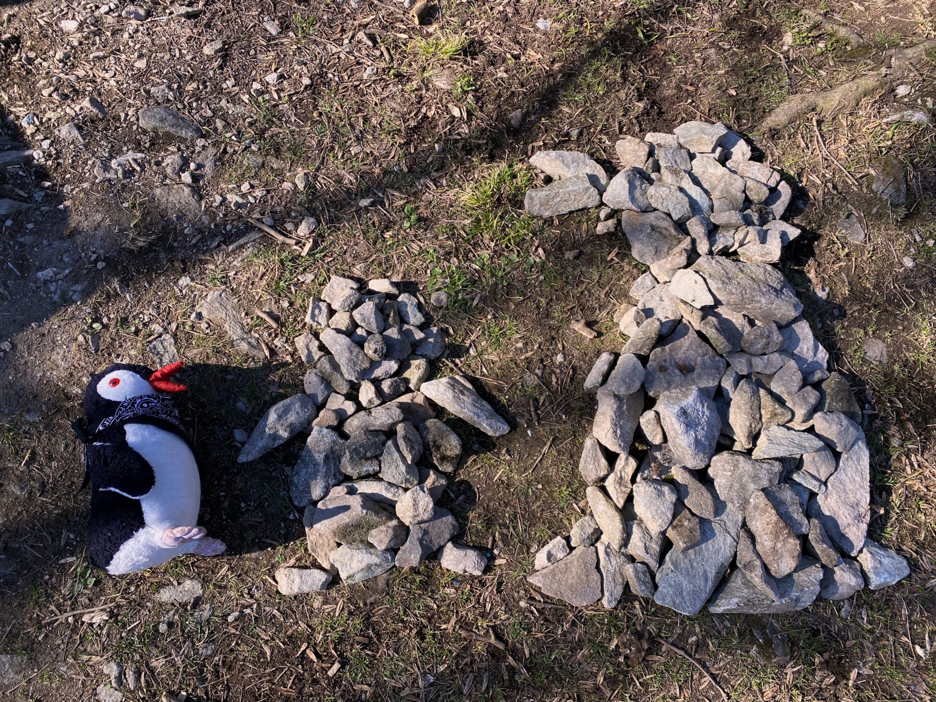A plush penguin sits beside two penguin shapes made of stacked stones